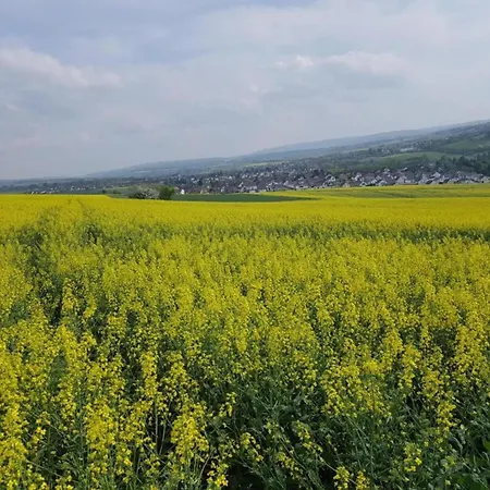 Apartment Im Schoenen Taunus *